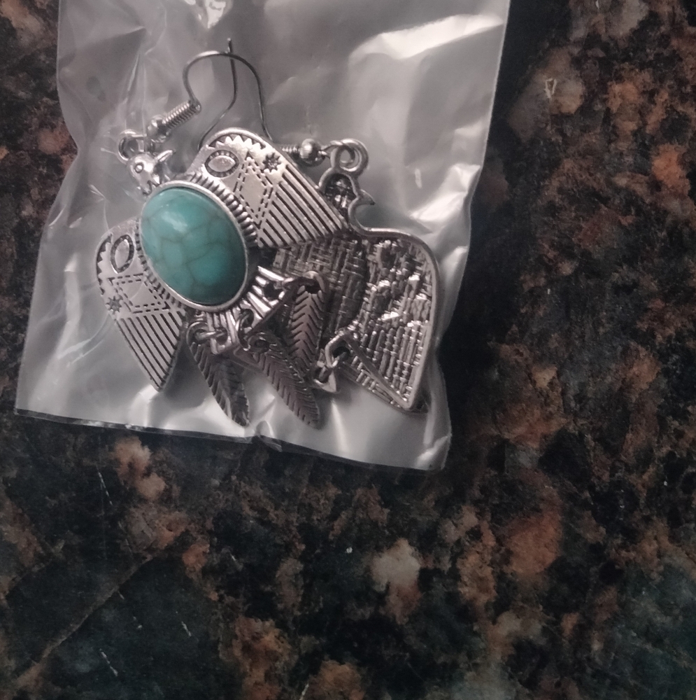 Silver and Turquoise Earrings
